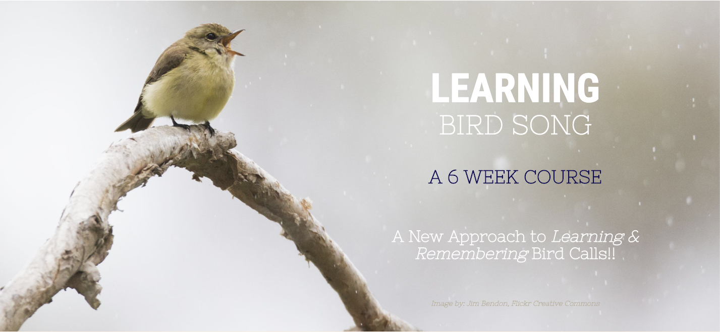 learning-bird-song-course-registration